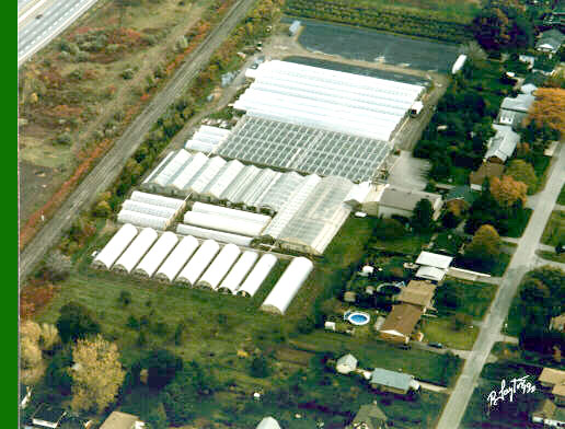 Arial ViewAlkema Greenhouses